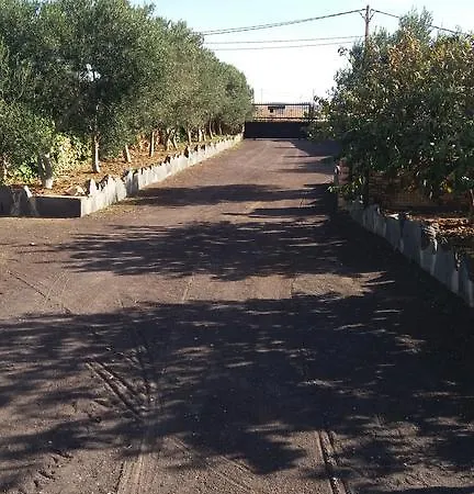 La Gayria * Tiscamanita