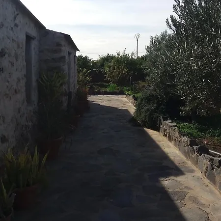 La Gayria * Tiscamanita