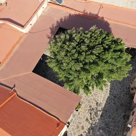 La Gayria * Tiscamanita