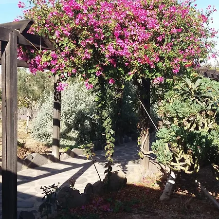 La Gayria Tiscamanita