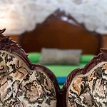 La Gayria Tiscamanita
