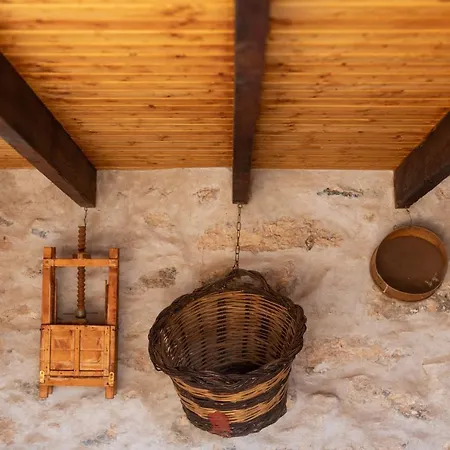 La Gayria * Tiscamanita