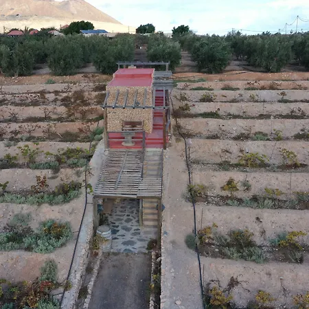 La Gayria * Tiscamanita