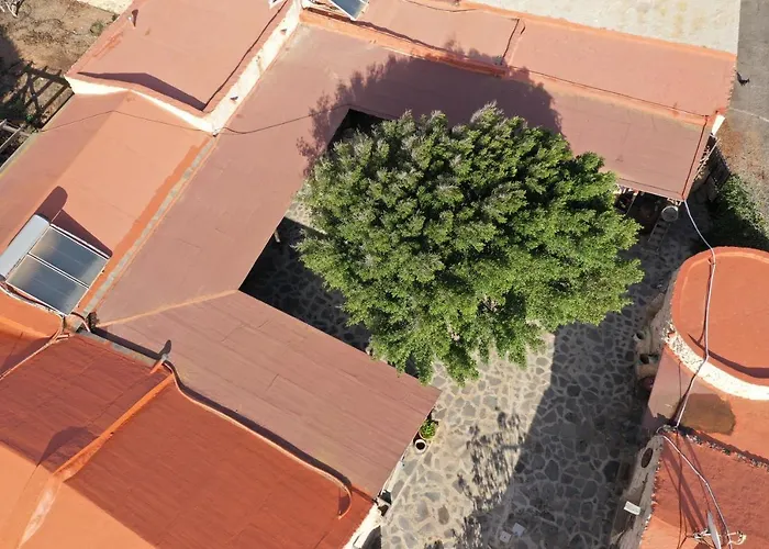 La Gayria * Tiscamanita