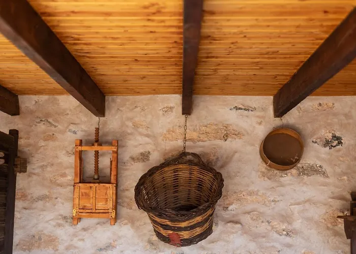 La Gayria * Tiscamanita