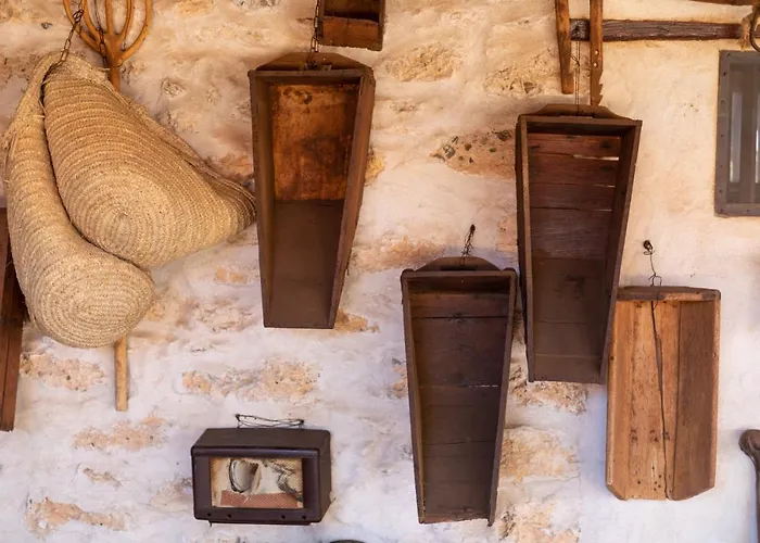 La Gayria Tiscamanita