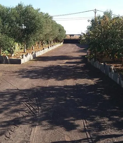 La Gayria * Tiscamanita