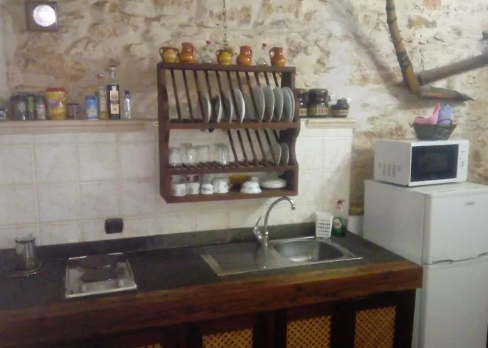 La Gayria Tiscamanita