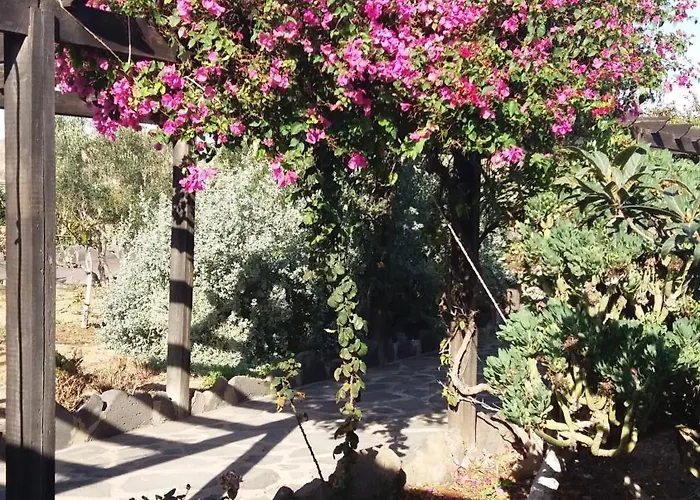 La Gayria Tiscamanita