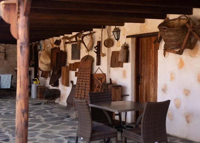 La Gayria * Tiscamanita