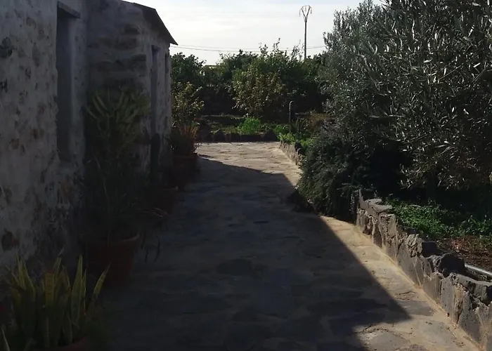 La Gayria * Tiscamanita