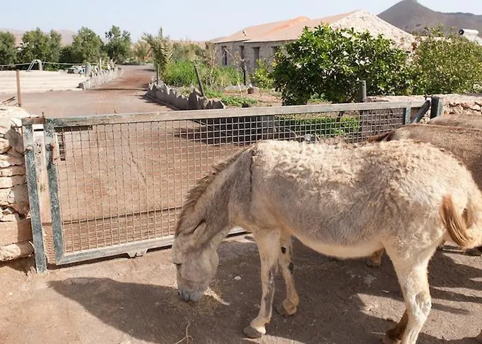 La Gayria Casa rural *